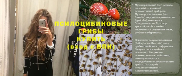 молекула духа Алексеевка