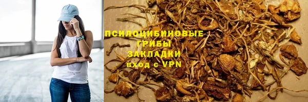 хмурый Нягань