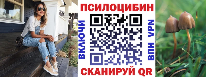 закладка  Цивильск  Галлюциногенные грибы мицелий 
