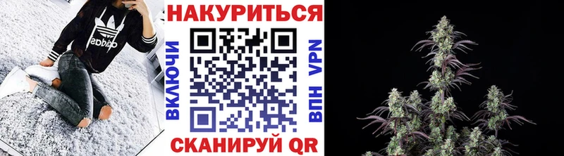 Бошки марихуана THC 21%  Цивильск 